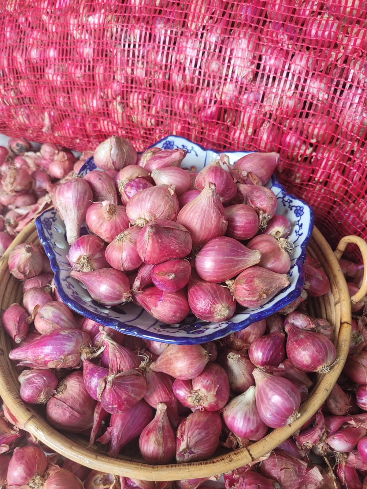 Red onion